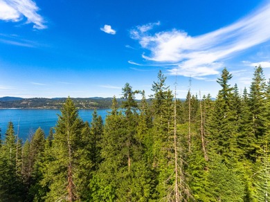 This Gozzer Ranch lot is over 3/4 of an acre with expansive - photo 2