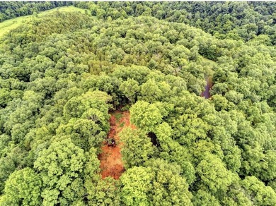 4.5 Acres Near Dale Hollow Lake - Ready for Your Dream Lake - photo 3