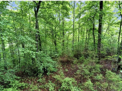 4.5 Acres Near Dale Hollow Lake - Ready for Your Dream Lake - photo 4