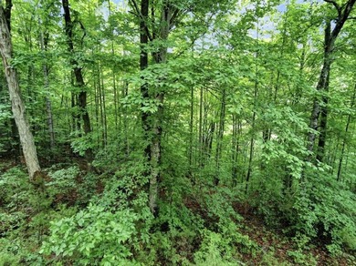 4.5 Acres Near Dale Hollow Lake - Ready for Your Dream Lake - photo 5