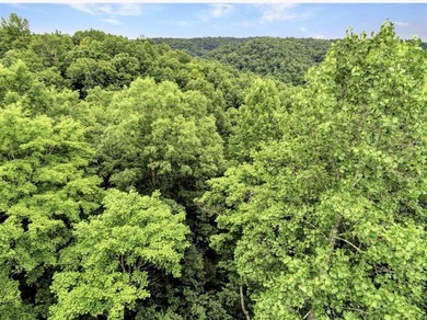 4.5 Acres Near Dale Hollow Lake - Ready for Your Dream Lake - photo 6