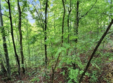 4.5 Acres Near Dale Hollow Lake - Ready for Your Dream Lake - photo 9