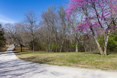 Lake Acreage For Sale in Reeds Spring, Missouri