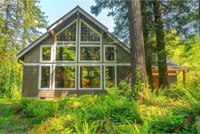 Lake Home For Sale in Yacolt, Washington