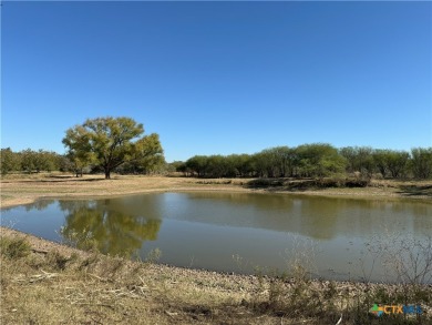 Lake Acreage For Sale in Seguin, Texas