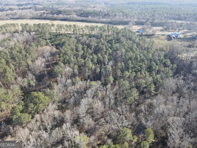 Lake Oconee Acreage For Sale in Buckhead Georgia