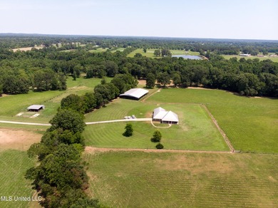 This custom-built equestrian property in Terry offers a - photo 2