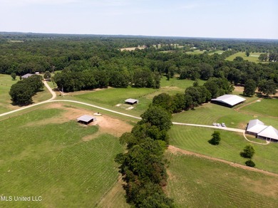 This custom-built equestrian property in Terry offers a - photo 3