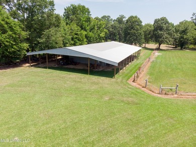 This custom-built equestrian property in Terry offers a - photo 7