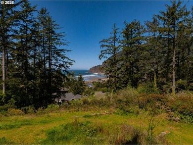 Absolutely iconic location and site. Views of Manzanita beach - photo 1