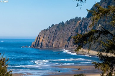 Absolutely iconic location and site. Views of Manzanita beach - photo 2