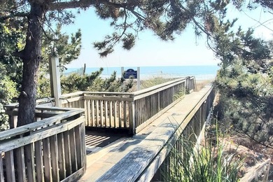 Please check out virtual tour. This property has a very healthy - photo 45