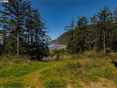Absolutely iconic location and site. Views of Manzanita beach - photo 5