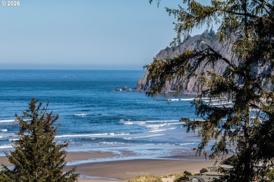 Absolutely iconic location and site. Views of Manzanita beach - photo 7