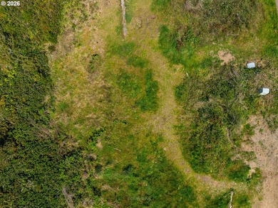 Absolutely iconic location and site. Views of Manzanita beach - photo 9