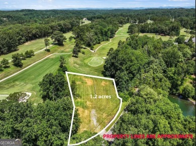 Lake Lot For Sale in Gainesville, Georgia