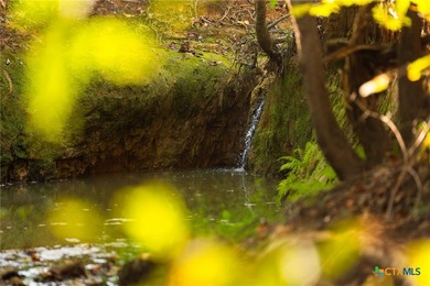 Lake Springs Ranch is the epitome of a true East Texas - photo 12