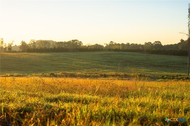 Lake Springs Ranch is the epitome of a true East Texas - photo 14