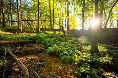 Lake Springs Ranch is the epitome of a true East Texas - photo 21