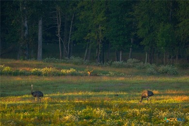 Lake Springs Ranch is the epitome of a true East Texas - photo 39