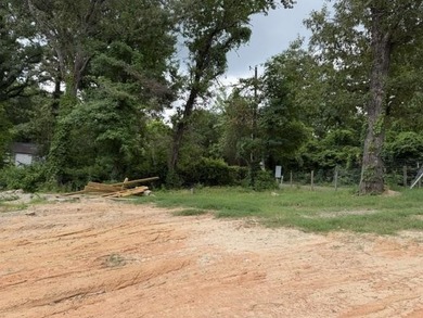 UGLY BUT CHEAP! You do the clean up on this waterfront property - photo 2