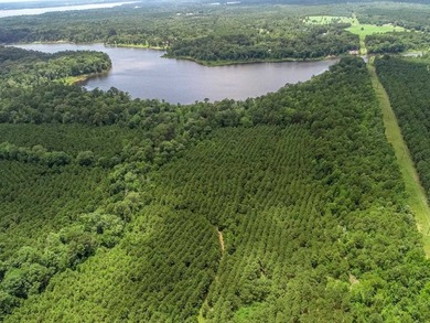 Lake O The Pines Acreage For Sale in Avinger Texas