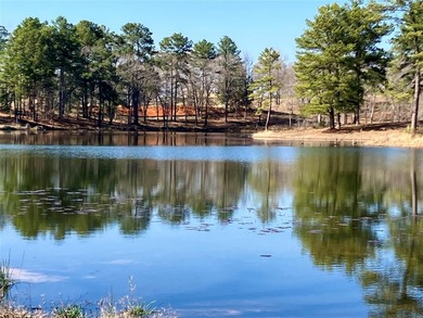 (private lake, pond, creek) Acreage For Sale in Big Sandy Texas