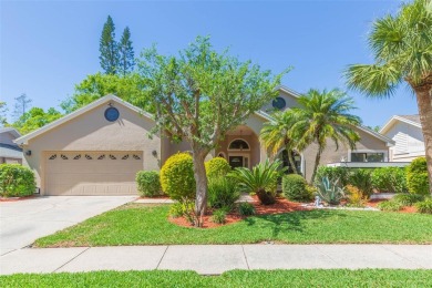 Lake Home For Sale in Tampa, Florida