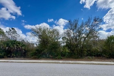 Residential lot in Peace River Shores with ECAP zoning. This 10 - photo 1