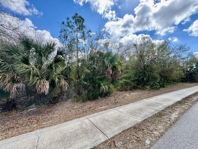 Residential lot in Peace River Shores with ECAP zoning. This 10 - photo 4