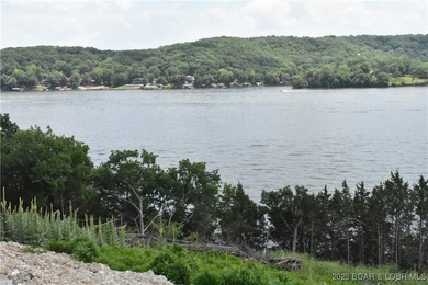 Once in a lifetime property cleared and ready for you to build - photo 29