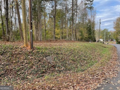 Lake Lanier Lot For Sale in Lavonia Georgia