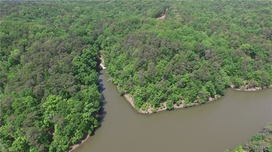 Imagine building your dream home in a beautiful wooded - photo 9