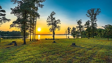 Gorgeous 1+ acre waterfront lot on Lake Bob Sandlin. Bring your - photo 5