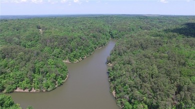 Imagine building your dream home in a beautiful wooded setting - photo 5