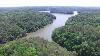 Imagine building your dream home in a beautiful wooded setting - photo 6