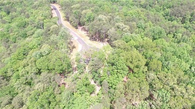 Imagine building your dream home in a beautiful wooded setting - photo 7