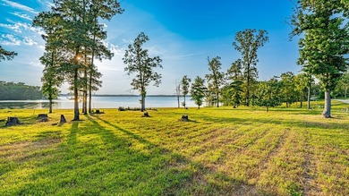 Gorgeous 1+ acre waterfront lot on Lake Bob Sandlin. Bring your - photo 8