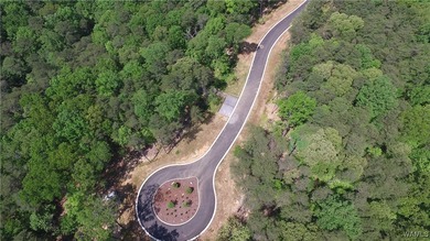 Imagine building your dream home in a beautiful wooded setting - photo 8