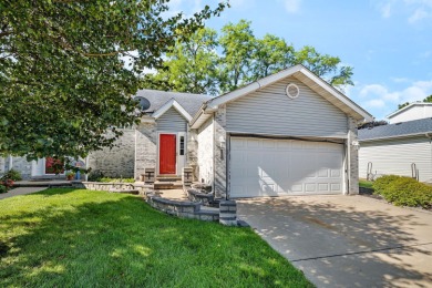 Lake Townhome/Townhouse For Sale in Braidwood, Illinois