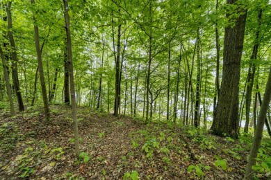 Lake Lot For Sale in Cassopolis, Michigan