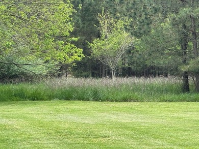 Wooded lot on soon to be developed cul de sac in the Northside - photo 3