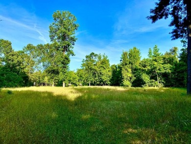 This diverse riverfront property is a rare find. Located between - photo 11