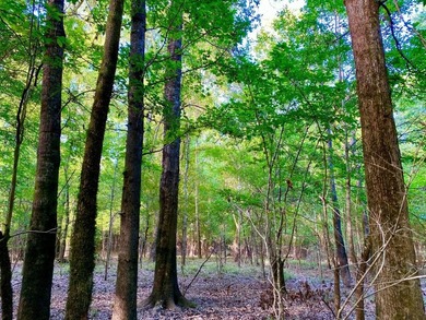 This diverse riverfront property is a rare find. Located between - photo 14