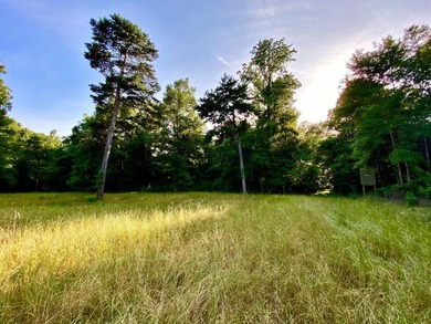 This diverse riverfront property is a rare find. Located between - photo 15