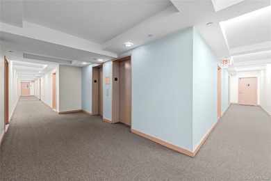 JUST LISTED! MOVE-IN READY 2 BEDROOM, 1 BATH CONDO IN BRONX NY - photo 16