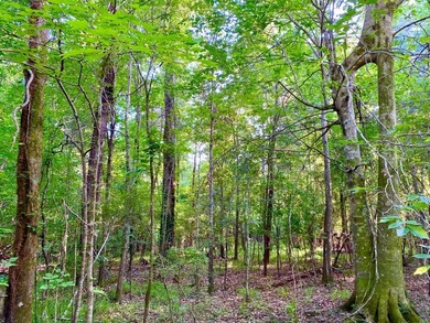 This diverse riverfront property is a rare find. Located between - photo 16