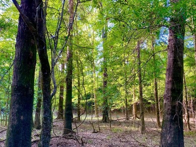 This diverse riverfront property is a rare find. Located between - photo 18