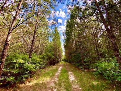 This diverse riverfront property is a rare find. Located between - photo 20