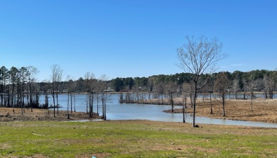 Toledo Bend Reservoir Homes for Sale Real Estate Lakefront Property LA,3